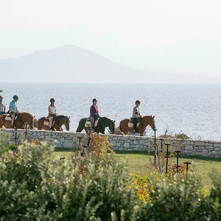 Virginia Villa Ampelas