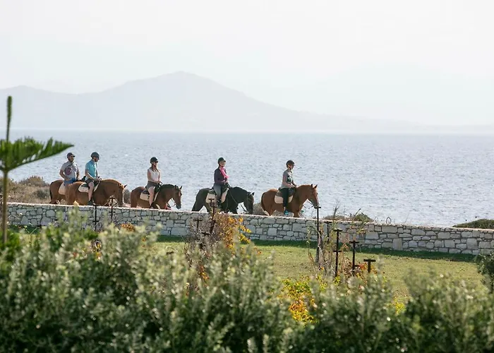 Virginia Villa Ambelas